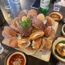 신마산 합천 흑돼지 황토한우 | [2024년 1월 3주차]주간리포트