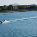 무지개다리 | 광양 무지개다리 여행 후기｜바다와 함께 보는 풍경