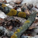 견우동물병원 이미지