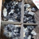 청계 한우 농장 이미지