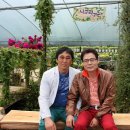 소화성가정 이미지