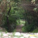 대신지구진입로 이미지