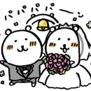 수원-1025 | W2-1. 다이렉트결혼준비 수원센터 웨딩박람회 방문 후, 비동행 플래너 당일 계약 완료O_스드메 상담...