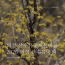 음지마을1 | [대구 경북 봄 꽃놀이] 2026 의성 산수유 축제(3.21~3.29) 3/22 개화 상황, 주차 꿀팁