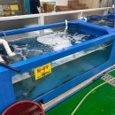 신화수산 | [맛집리뷰] 대전 신화수산 대하구이 내돈내산 솔직 후기