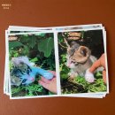 갈미축산 | 평촌프린트 | 평촌학원가 ◜폴라폴라◞ 뽑는 곳+폴라폴라 사용법⌒⌒✌️ | 프린트데이24 안양평촌점