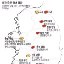 금광 이미지