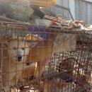 대문안 농장 이미지