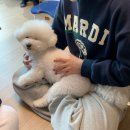 3월 하루도 허투루 보내지 않겠어_1