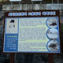 비금 최치원 우물 이미지