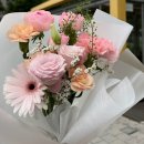 성인 진로컨설팅 와이즈위너에서 얻은 인사이트✨(내돈내산 후기)