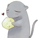 후르츠바스캣 이미지