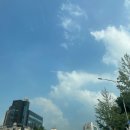 카페보헤이 이미지