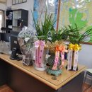 임광공인중개사사무소 이미지