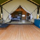 도그 팰리스 이미지