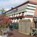 몽마르뜨 이미지