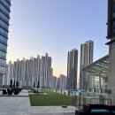 호남AI센터 | 홍콩 심천 패키지 여행 후기(침사추이, 빅토리아하버, 소나무한식당, 핑안금융센터, 푸롱러우, 후...