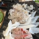 오조 - 강릉시 하평3길 34 | 부산 수영 맛집 찾았다! 오징어회에 반한 오조불삼합 후기