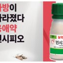 신젠타코리아 이미지