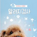 팝애니랩 이미지