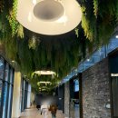 유림-1132 이미지