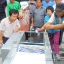 삼부농장 이미지