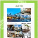 시카고휘트니스센타 이미지