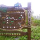 편백림 이미지