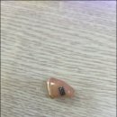 청주중앙포낙 이미지