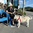길순농장 | 가족끼리 가기 좋은 부산 기장 단체 펜션 방문 후기