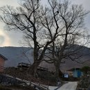 꽃봉산 아래 이미지