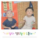 머리날다 | 아기 셀프 촬영소품 대여 시리날다 솔직후기