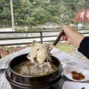 법수치통나무산장 | 양양맛집 법수치계곡 30년 전통 토종닭, 환상풍경의 양양 거목정!