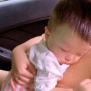 재은목장 이미지