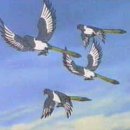 세영프로덕션 이미지