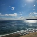 조선맥주 - 248 | 웨스틴 조선 부산 후기, 해운대 해변뷰 클럽라운지 해피아워 할인 특가