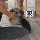 [삼시세끼] 유해진이 비트를 안 먹는 이유.jpg 이미지