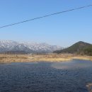 수목화를 그리는 송정마을 이미지