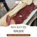 마리조아 | 제주 말고기 맛집 마리조아 말고기 코스 솔후기