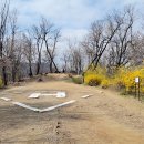 용천사편의점 이미지