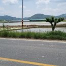 요기요부동산공인중개사사무소 이미지