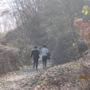 안동여자중학교 이미지