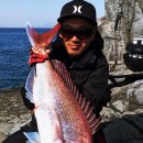 피싱랜드 이미지