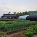 동백골한옥민박 이미지