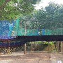 솔개미민박 이미지