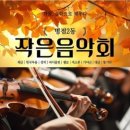 선율-작은음악회 이미지