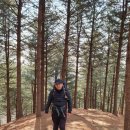 맥국길1 이미지