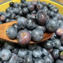 상기농장 이미지