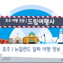 드림여행사 Daum카페