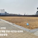창녕공설운동장 네이버블로그